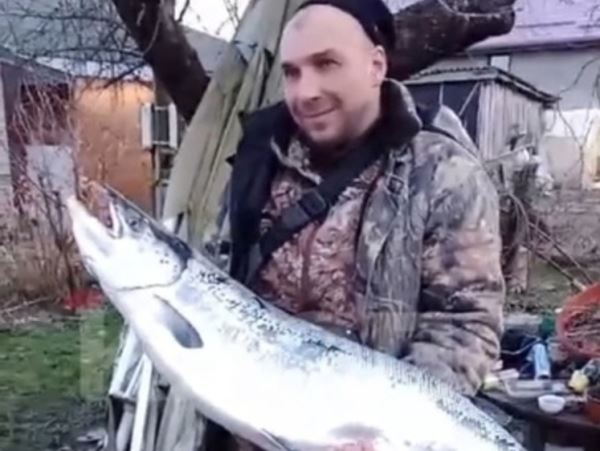Тащили вдвоем: рыбаки Балтийска добыли гигантского лососяЛососевая путина порадовала опытного рыбака трофейным лососем весом 16 кг.
