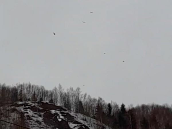 Полет орланов запечатлели на СахалинеМедитативное зрелище - полет стаи хищных птиц - снял житель сахалинского поселка Бошняково.