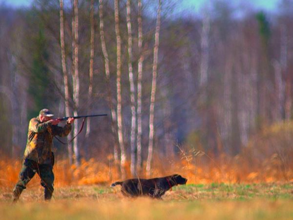 В Татарстане 60 тысяч человек имеют охотничьи билетыПо завершении зимнего маршрутного учета определено, сколько и какие виды животных обитают в регионе, сколько человек занимаются охотой и какова стоимость охотничьих ресурсов.