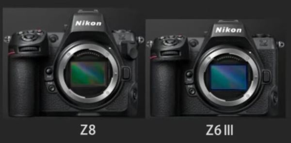 Nikon+RED. Первые новости ожидаются в апреле