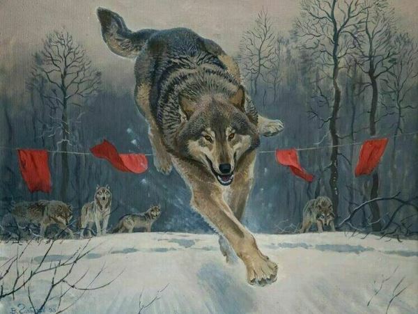 Волчатники Хакасии с начала года добыли 117 хищниковОхота на волка завершается 31 марта.